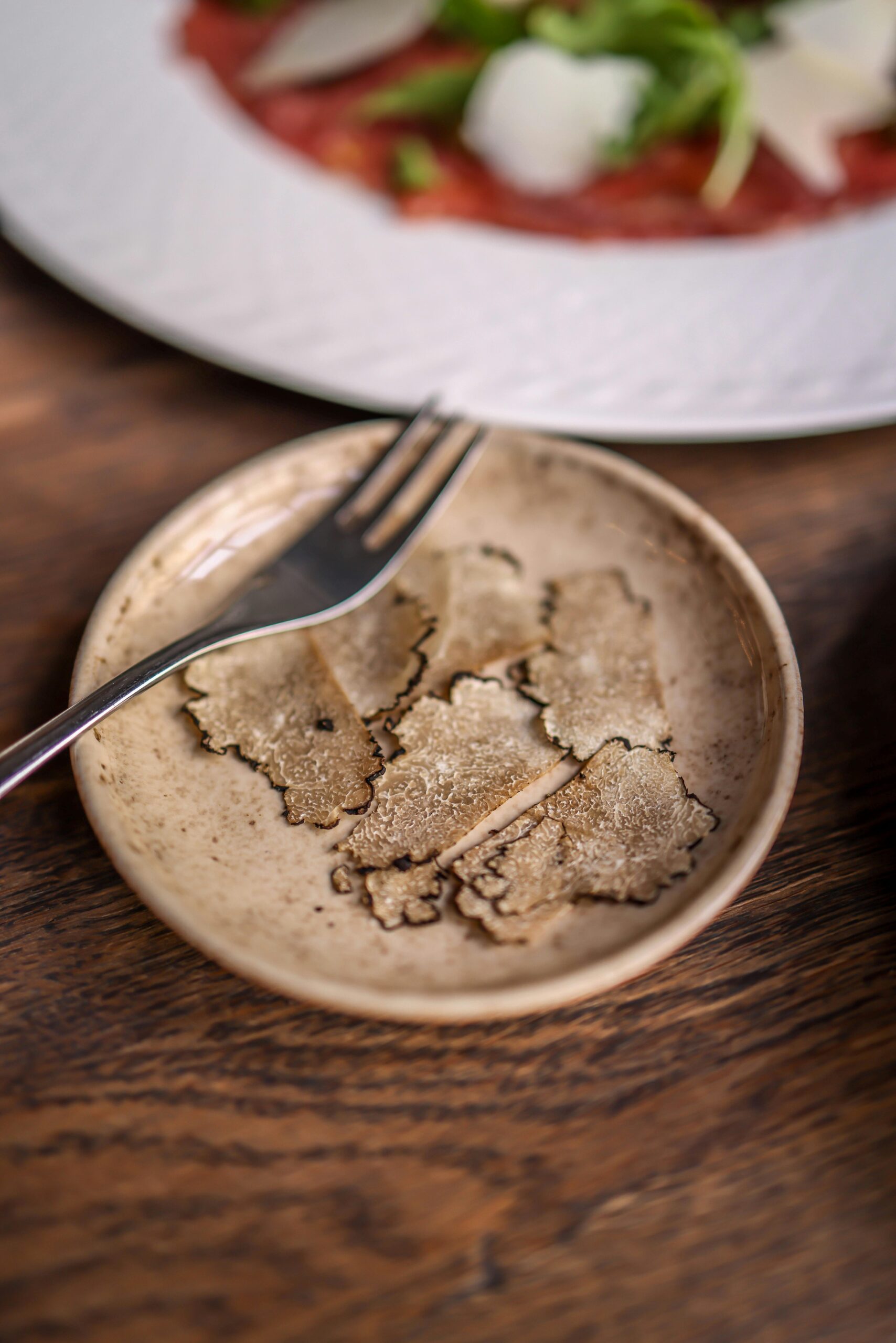 Truffle Hunting in the Dordogne: A Winter Adventure with the “Black Diamond